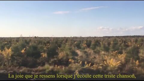 HD видео, пляж (гей)